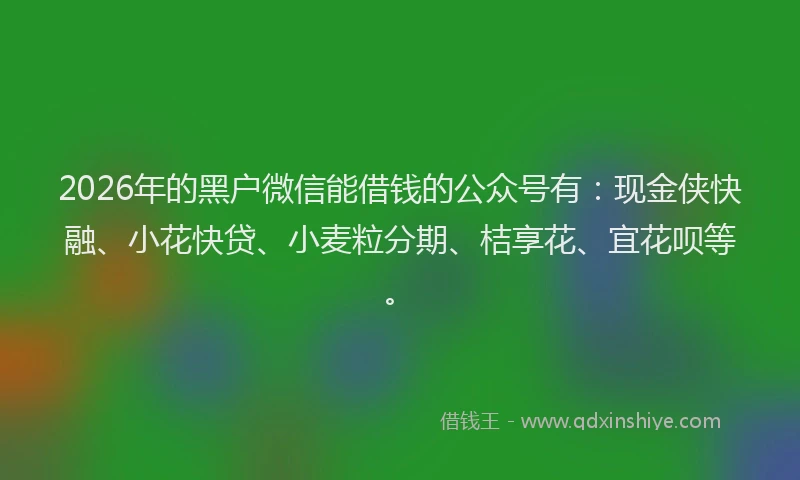 2026年的黑户微信能借钱的公众号有：现金侠快融、小花快贷、小麦粒分期、桔享花、宜花呗等。