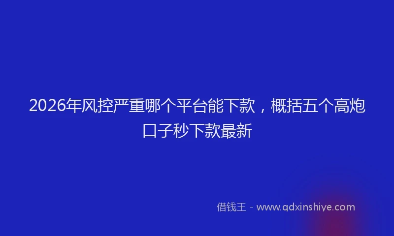 2026年风控严重哪个平台能下款，概括五个高炮口子秒下款最新