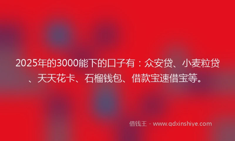2025年的3000能下的口子有：众安贷、小麦粒贷、天天花卡、石榴钱包、借款宝速借宝等。