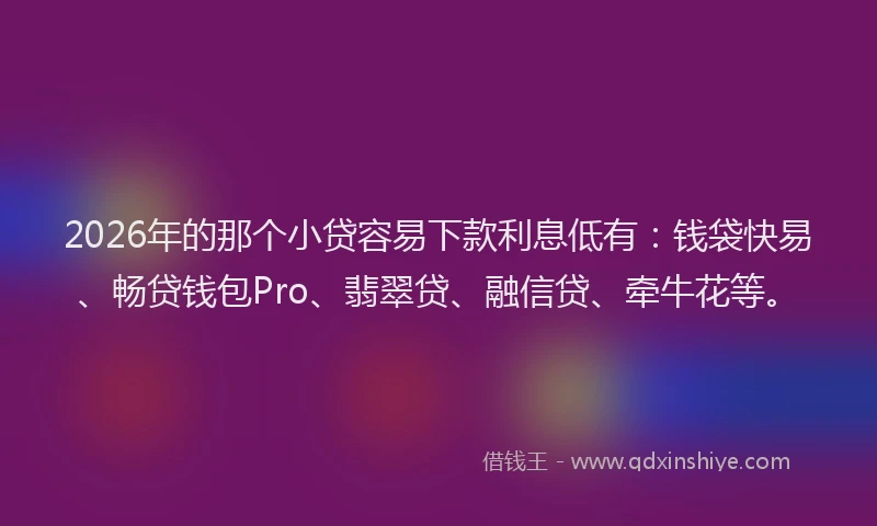 2026年的那个小贷容易下款利息低有：钱袋快易、畅贷钱包Pro、翡翠贷、融信贷、牵牛花等。