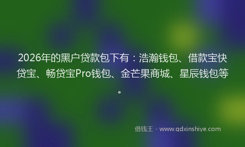 2026年的黑户贷款包下有：浩瀚钱包、借款宝快贷宝、畅贷宝Pro钱包、金芒果商城、星辰钱包等。