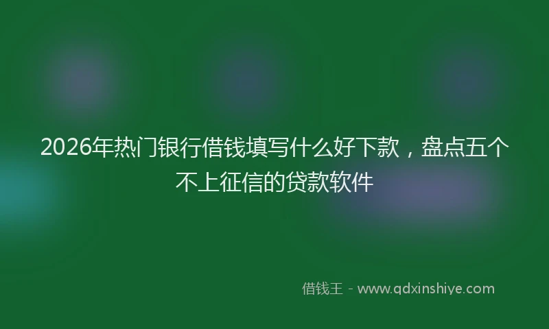 2026年热门银行借钱填写什么好下款，盘点五个不上征信的贷款软件