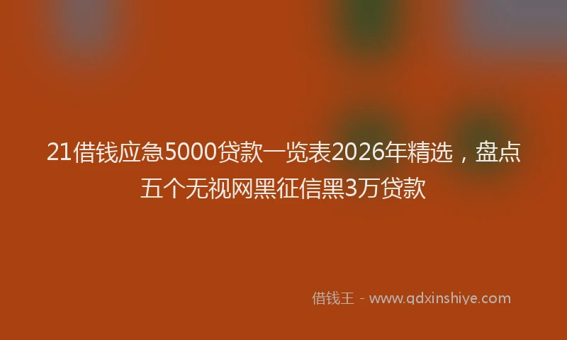 21借钱应急5000贷款一览表2026年精选，盘点五个无视网黑征信黑3万贷款