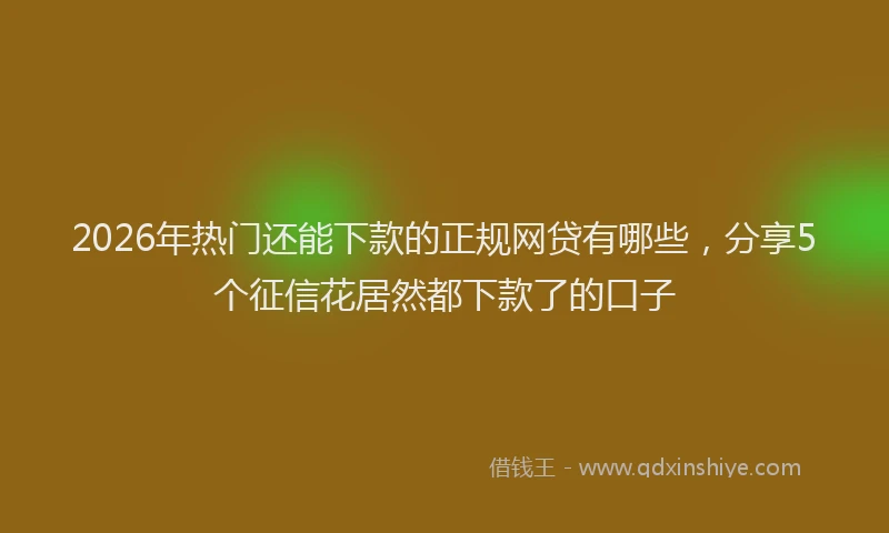 2026年热门还能下款的正规网贷有哪些，分享5个征信花居然都下款了的口子