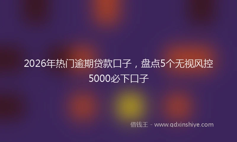 2026年热门逾期贷款口子，盘点5个无视风控5000必下口子