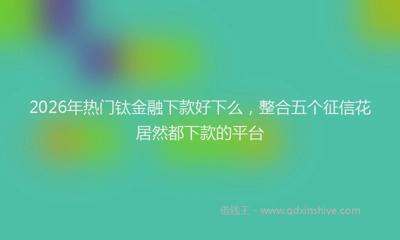 2026年热门钛金融下款好下么,整合五个征信花居然都下款的平台