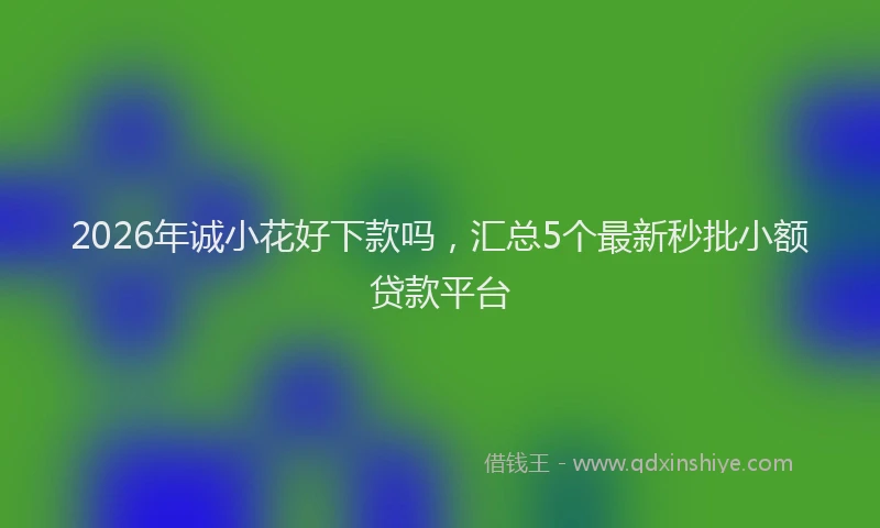 2026年诚小花好下款吗，汇总5个最新秒批小额贷款平台