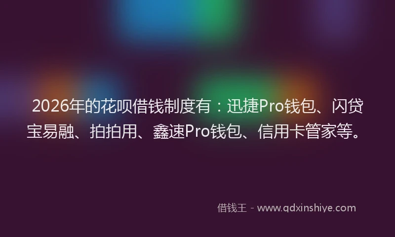 2026年的花呗借钱制度有：迅捷Pro钱包、闪贷宝易融、拍拍用、鑫速Pro钱包、信用卡管家等。