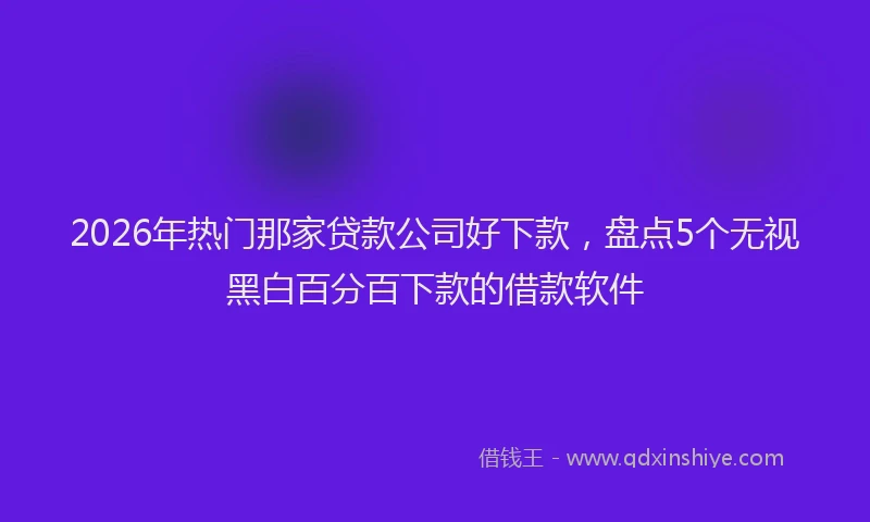 2026年热门那家贷款公司好下款,盘点5个无视黑白百分百下款的借款软件
