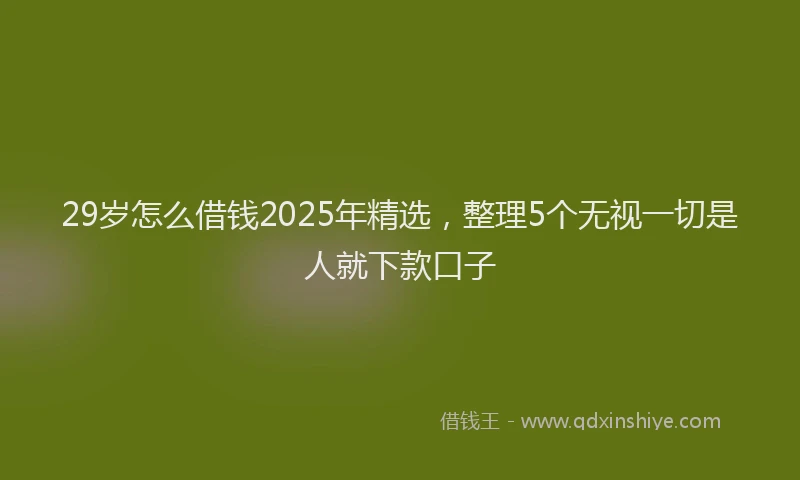 29岁怎么借钱2025年精选，整理5个无视一切是人就下款口子