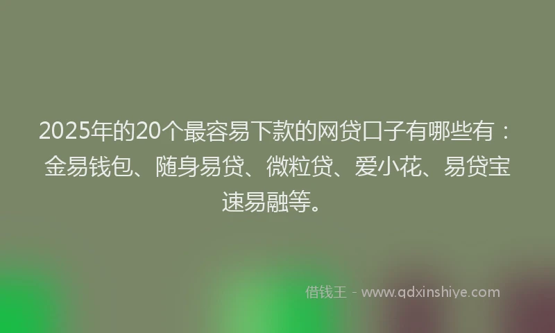 2025年的20个最容易下款的网贷口子有哪些有：金易钱包、随身易贷、微粒贷、爱小花、易贷宝速易融等。