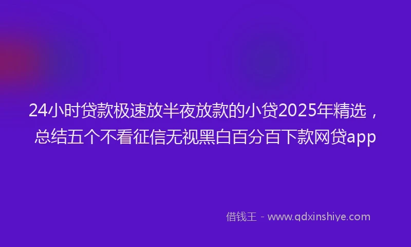 24小时贷款极速放半夜放款的小贷2025年精选，总结五个不看征信无视黑白百分百下款网贷app