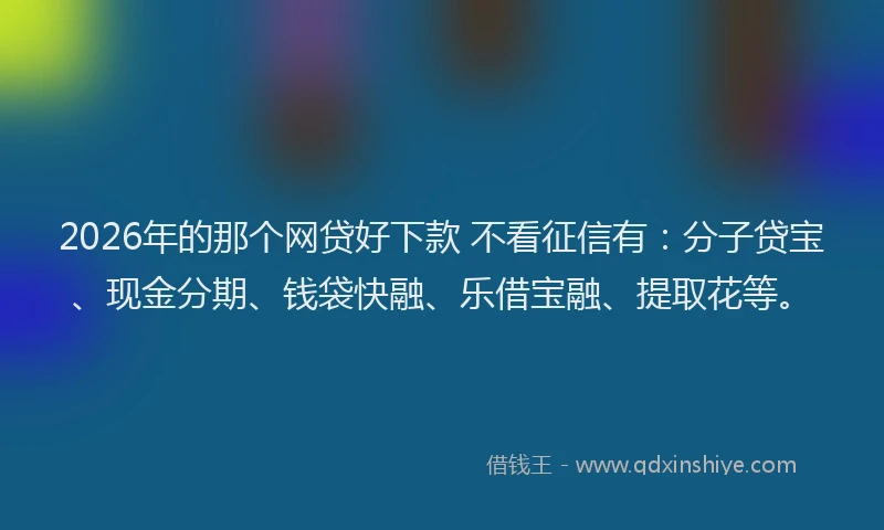 2026年的那个网贷好下款 不看征信有：分子贷宝、现金分期、钱袋快融、乐借宝融、提取花等。