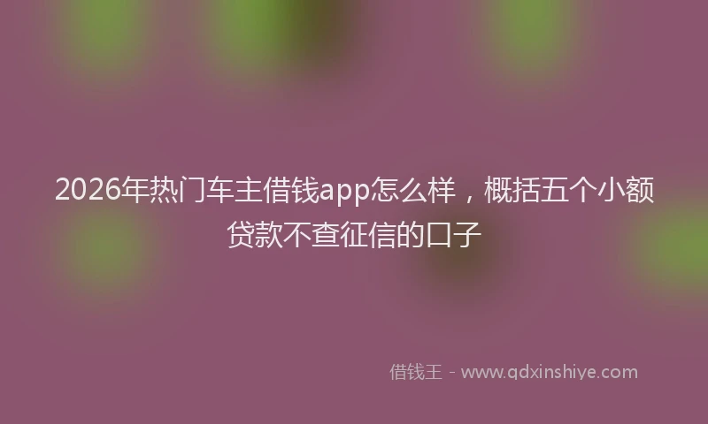 2026年热门车主借钱app怎么样，概括五个小额贷款不查征信的口子
