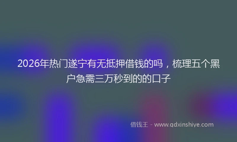 2026年热门遂宁有无抵押借钱的吗，梳理五个黑户急需三万秒到的的口子