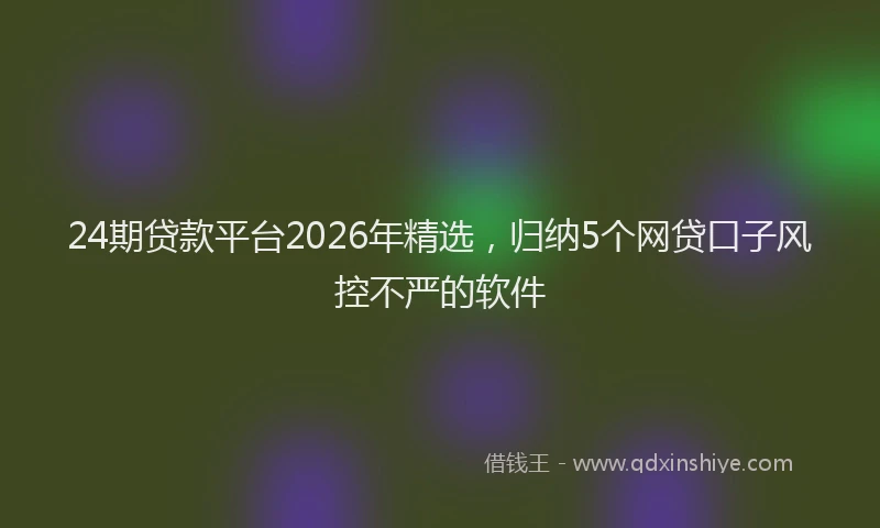 24期贷款平台2026年精选，归纳5个网贷口子风控不严的软件