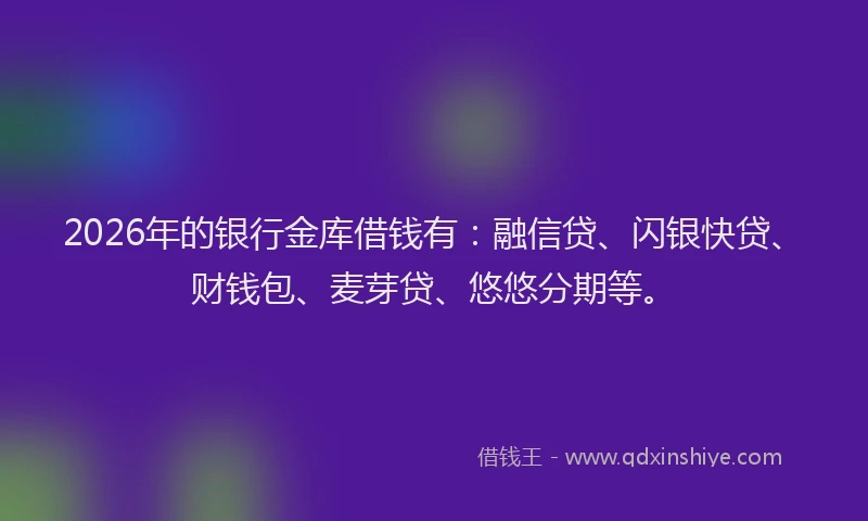 2026年的银行金库借钱有：融信贷、闪银快贷、财钱包、麦芽贷、悠悠分期等。