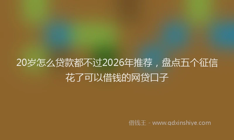 20岁怎么贷款都不过2026年推荐，盘点五个征信花了可以借钱的网贷口子