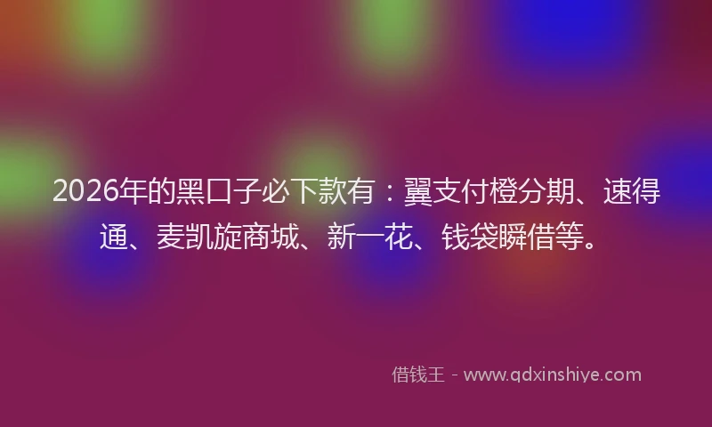 2026年的黑口子必下款有：翼支付橙分期、速得通、麦凯旋商城、新一花、钱袋瞬借等。