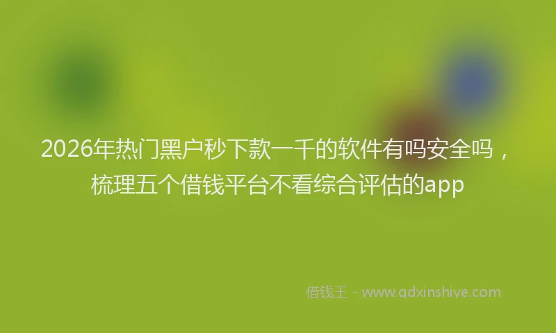 2026年热门黑户秒下款一千的软件有吗安全吗，梳理五个借钱平台不看综合评估的app
