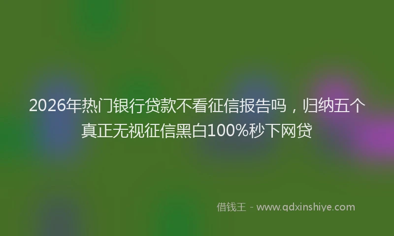 2026年热门银行贷款不看征信报告吗，归纳五个真正无视征信黑白100%秒下网贷