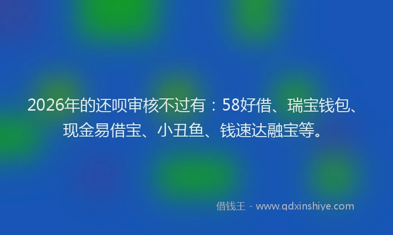 2026年的还呗审核不过有：58好借、瑞宝钱包、现金易借宝、小丑鱼、钱速达融宝等。