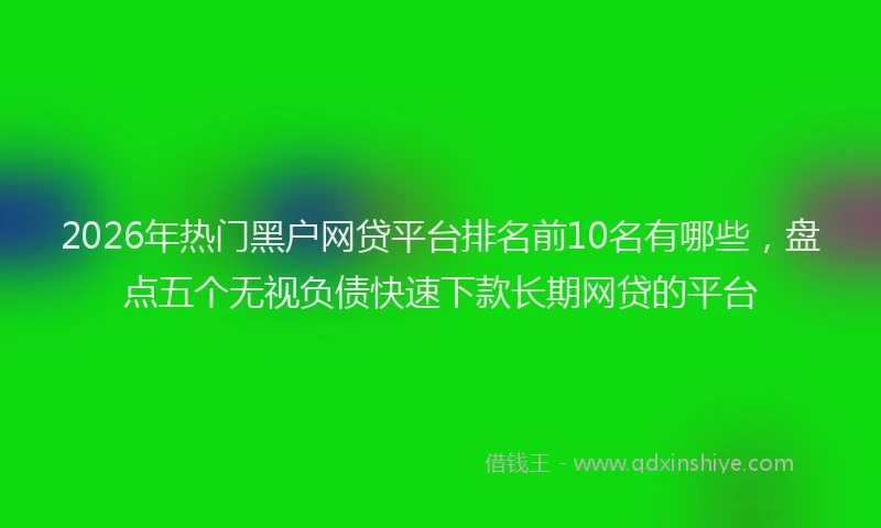 2026年热门黑户网贷平台排名前10名有哪些，盘点五个无视负债快速下款长期网贷的平台