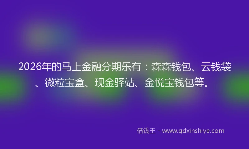 2026年的马上金融分期乐有：森森钱包、云钱袋、微粒宝盒、现金驿站、金悦宝钱包等。
