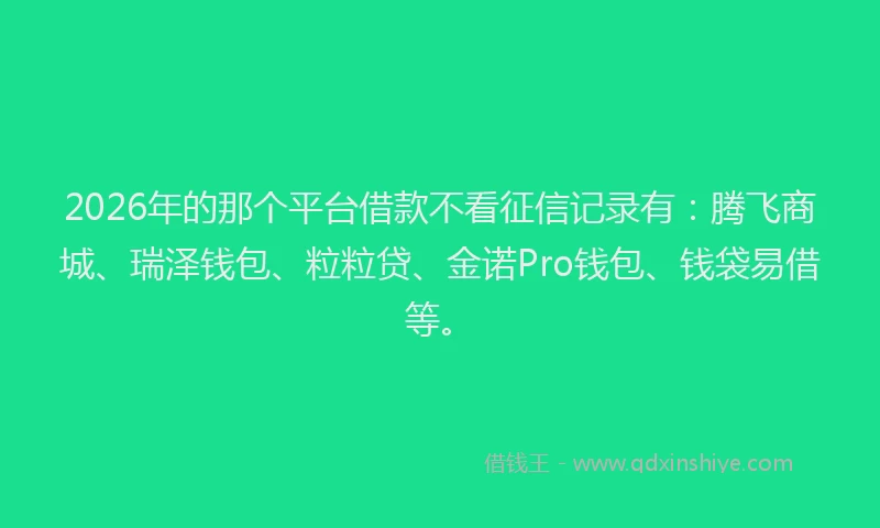 2026年的那个平台借款不看征信记录有：腾飞商城、瑞泽钱包、粒粒贷、金诺Pro钱包、钱袋易借等。