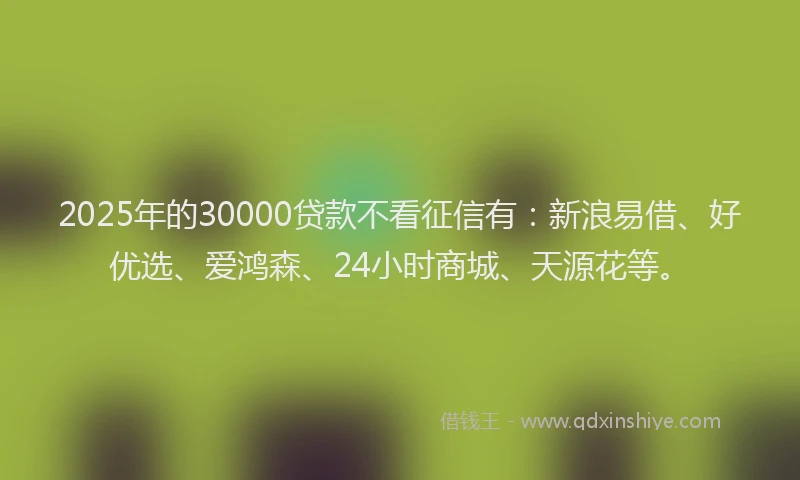 2025年的30000贷款不看征信有：新浪易借、好优选、爱鸿森、24小时商城、天源花等。