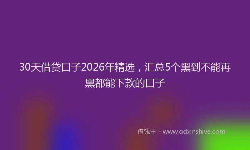 30天借贷口子2026年精选，汇总5个黑到不能再黑都能下款的口子