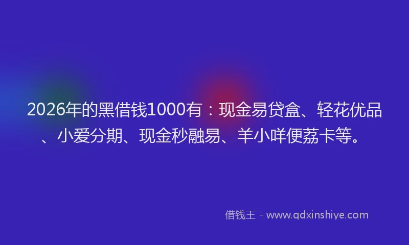 2026年的黑借钱1000有：现金易贷盒、轻花优品、小爱分期、现金秒融易、羊小咩便荔卡等。
