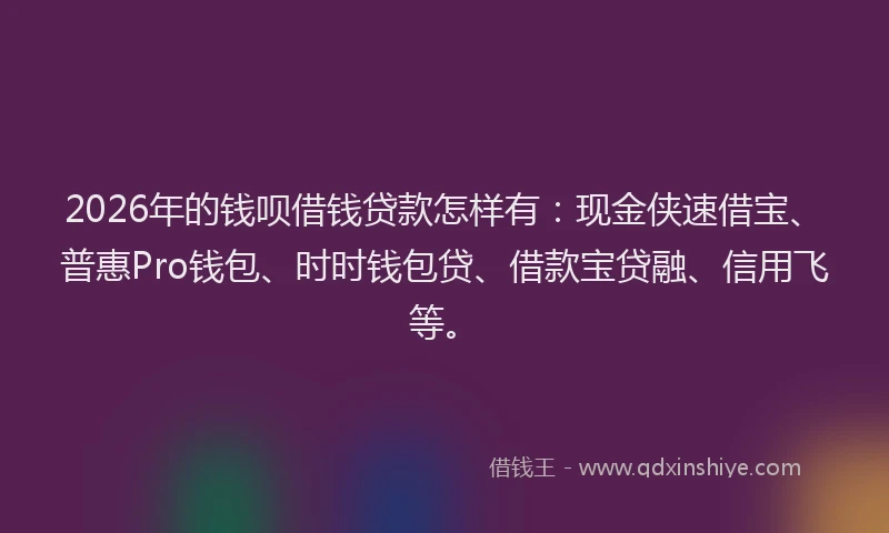 2026年的钱呗借钱贷款怎样有：现金侠速借宝、普惠Pro钱包、时时钱包贷、借款宝贷融、信用飞等。