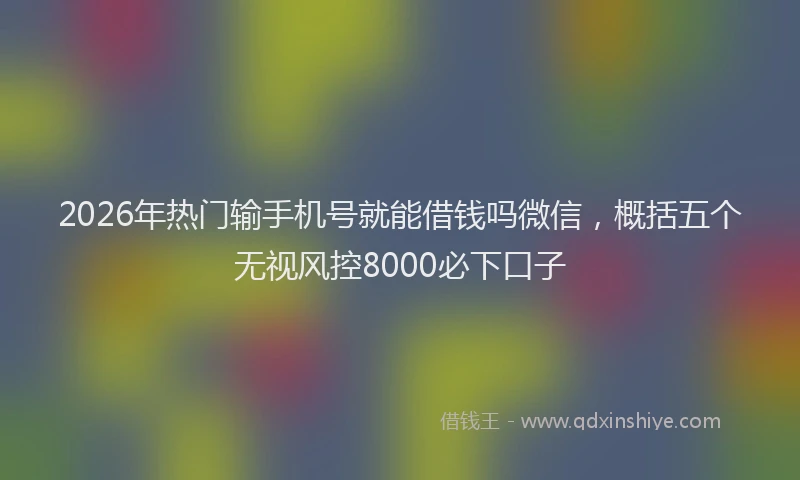 2026年热门输手机号就能借钱吗微信，概括五个无视风控8000必下口子
