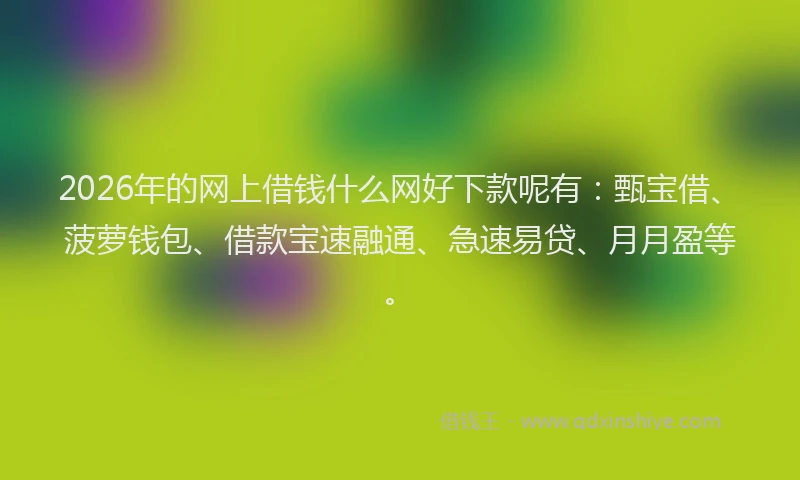 2026年的网上借钱什么网好下款呢有：甄宝借、菠萝钱包、借款宝速融通、急速易贷、月月盈等。