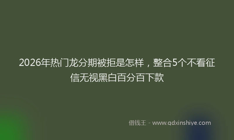 2026年热门龙分期被拒是怎样，整合5个不看征信无视黑白百分百下款
