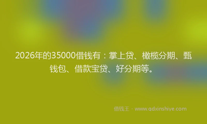 2026年的35000借钱有：掌上贷、橄榄分期、甄钱包、借款宝贷、好分期等。