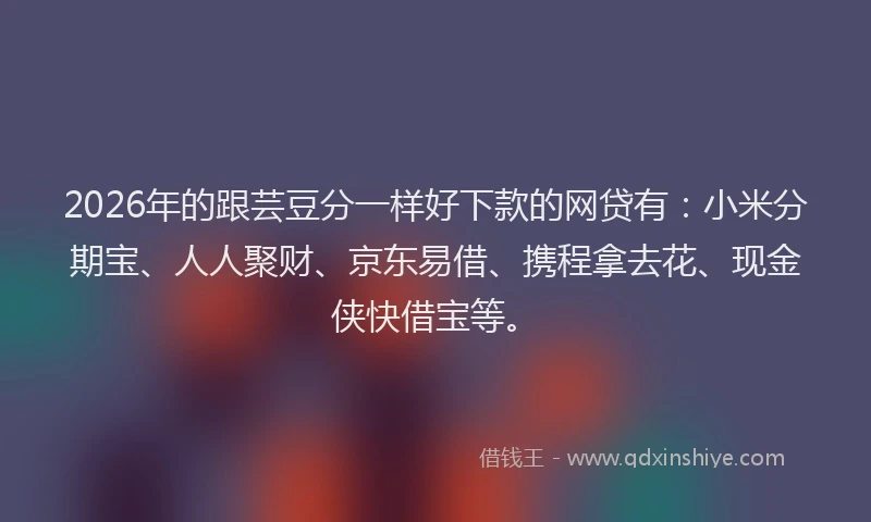 2026年的跟芸豆分一样好下款的网贷有:小米分期宝、人人聚财、京东易借、携程拿去花、现金侠快借宝等。