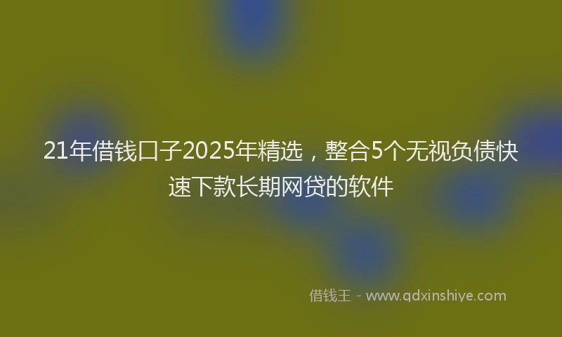 21年借钱口子2025年精选，整合5个无视负债快速下款长期网贷的软件