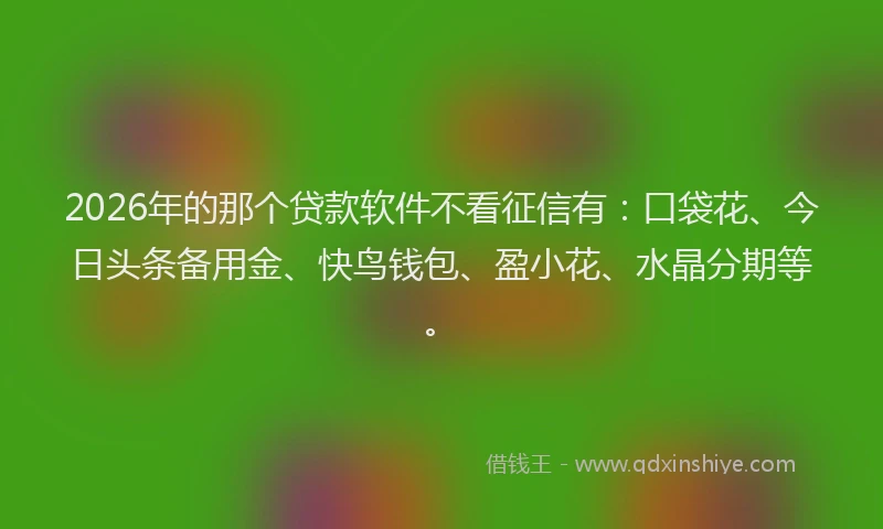 2026年的那个贷款软件不看征信有：口袋花、今日头条备用金、快鸟钱包、盈小花、水晶分期等。