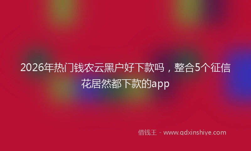 2026年热门钱农云黑户好下款吗，整合5个征信花居然都下款的app