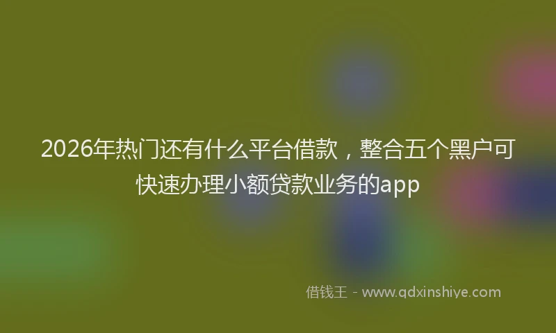 2026年热门还有什么平台借款，整合五个黑户可快速办理小额贷款业务的app