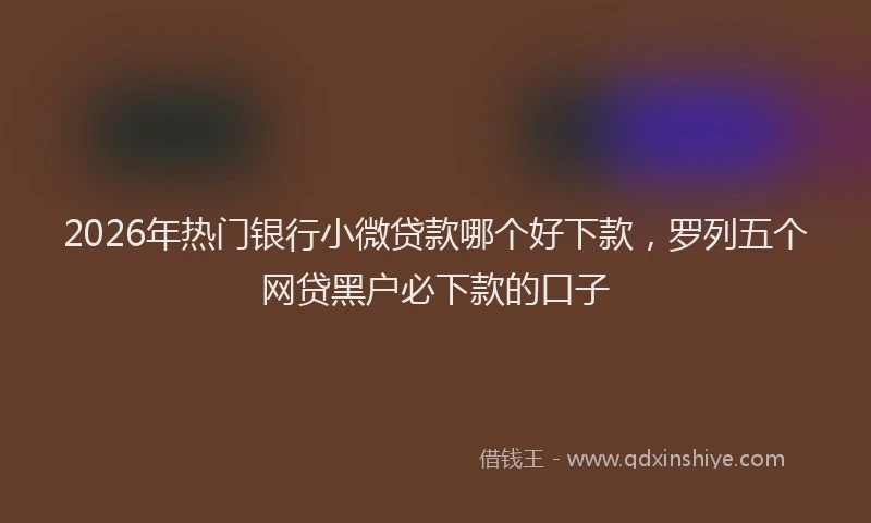 2026年热门银行小微贷款哪个好下款，罗列五个网贷黑户必下款的口子