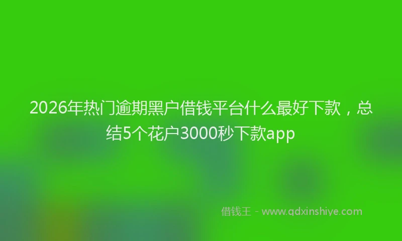 2026年热门逾期黑户借钱平台什么最好下款，总结5个花户3000秒下款app