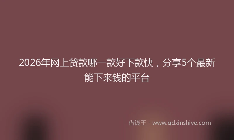 2026年网上贷款哪一款好下款快，分享5个最新能下来钱的平台