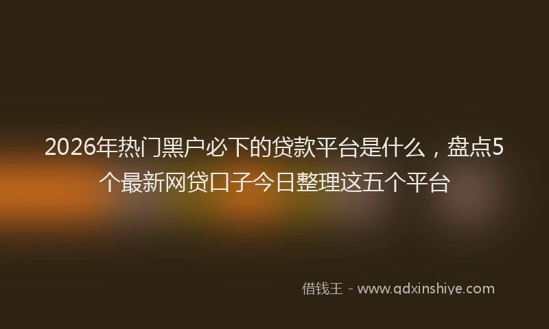 2026年热门黑户必下的贷款平台是什么，盘点5个最新网贷口子今日整理这五个平台