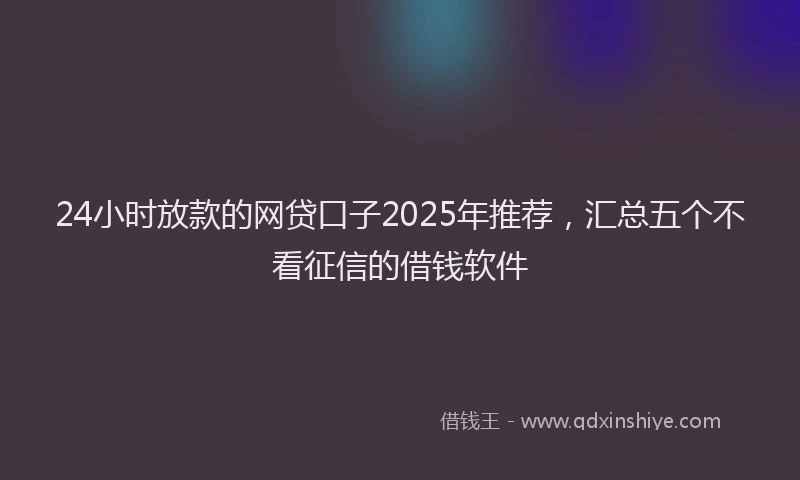 24小时放款的网贷口子2025年推荐，汇总五个不看征信的借钱软件