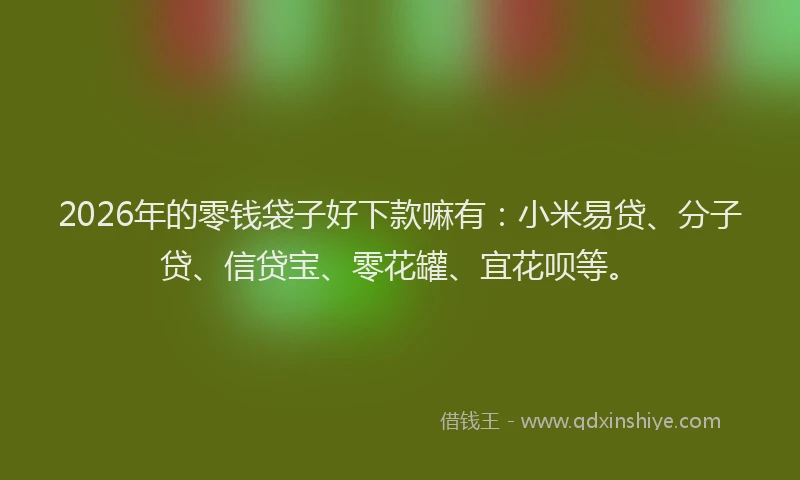 2026年的零钱袋子好下款嘛有：小米易贷、分子贷、信贷宝、零花罐、宜花呗等。
