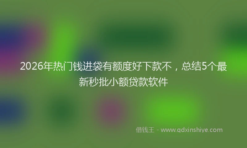 2026年热门钱进袋有额度好下款不，总结5个最新秒批小额贷款软件
