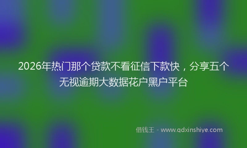 2026年热门那个贷款不看征信下款快，分享五个无视逾期大数据花户黑户平台